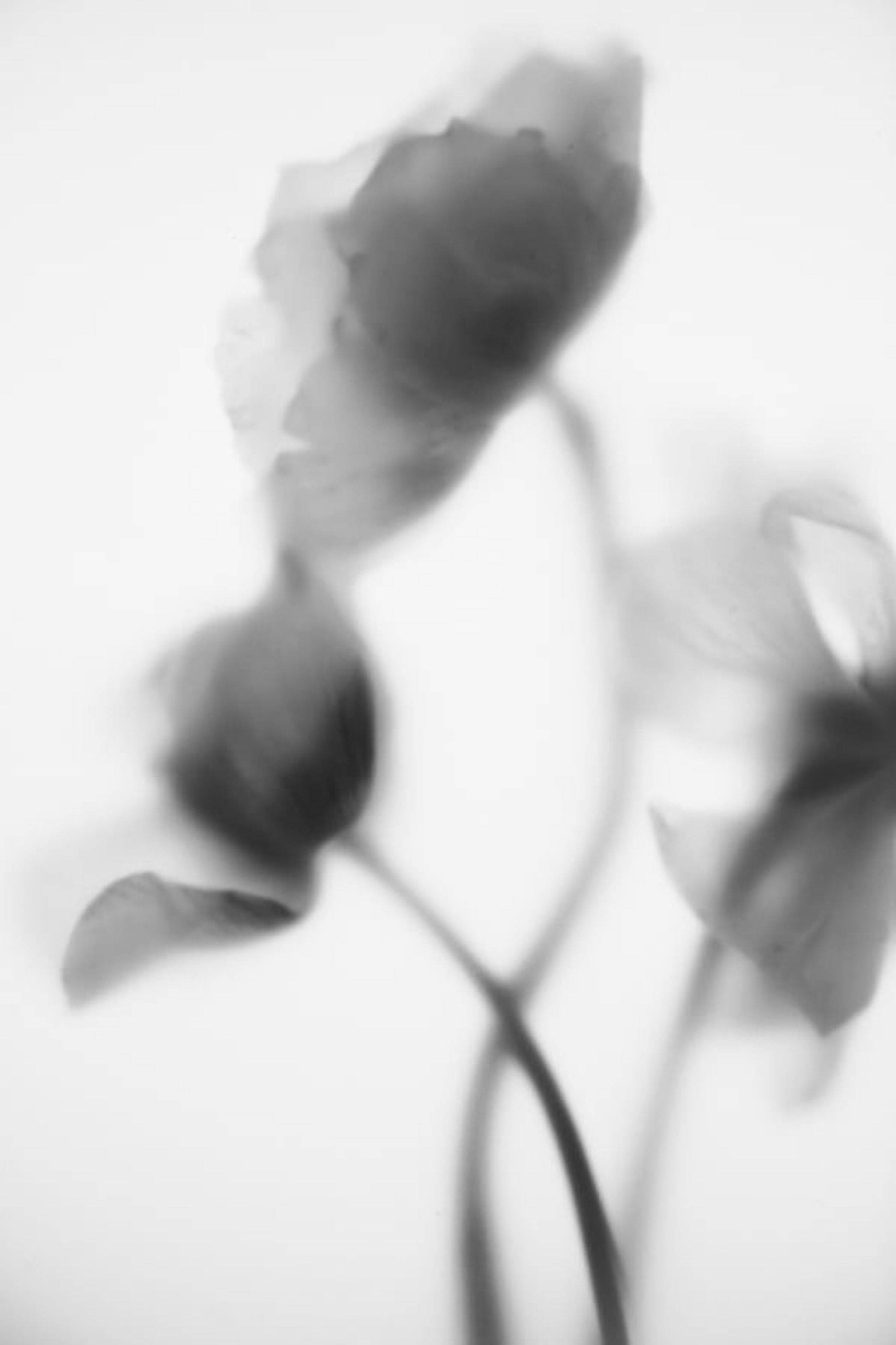 Event cover